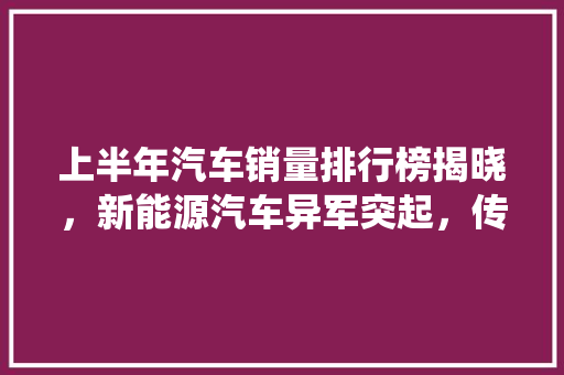 上半年汽车销量排行榜揭晓，新能源汽车异军突起，传统燃油车遭遇挑战