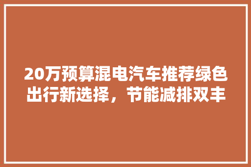 20万预算混电汽车推荐绿色出行新选择，节能减排双丰收