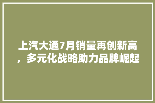 上汽大通7月销量再创新高，多元化战略助力品牌崛起