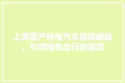 上海国产纯电汽车品牌崛起，引领绿色出行新潮流