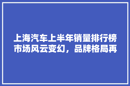 上海汽车上半年销量排行榜市场风云变幻，品牌格局再升级