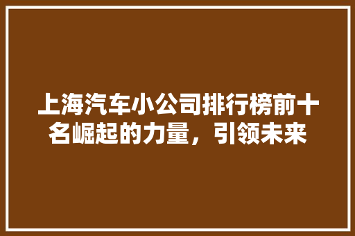 上海汽车小公司排行榜前十名崛起的力量，引领未来