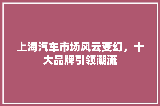 上海汽车市场风云变幻，十大品牌引领潮流