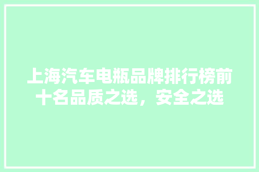 上海汽车电瓶品牌排行榜前十名品质之选，安全之选