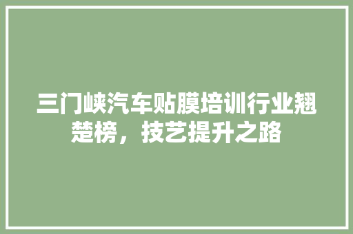 三门峡汽车贴膜培训行业翘楚榜，技艺提升之路