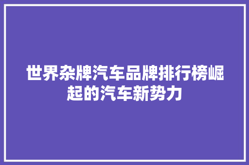 世界杂牌汽车品牌排行榜崛起的汽车新势力