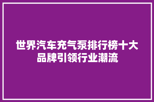 世界汽车充气泵排行榜十大品牌引领行业潮流