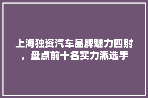 上海独资汽车品牌魅力四射，盘点前十名实力派选手