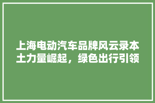 上海电动汽车品牌风云录本土力量崛起，绿色出行引领未来