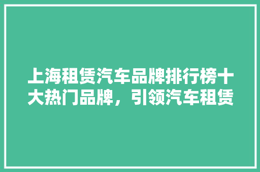 上海租赁汽车品牌排行榜十大热门品牌，引领汽车租赁新潮流