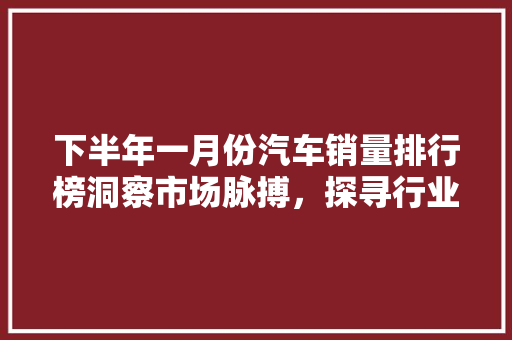 下半年一月份汽车销量排行榜洞察市场脉搏，探寻行业新趋势