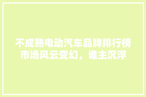 不成熟电动汽车品牌排行榜市场风云变幻，谁主沉浮