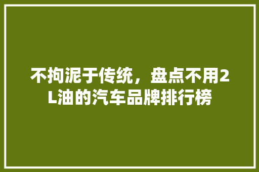 不拘泥于传统，盘点不用2L油的汽车品牌排行榜