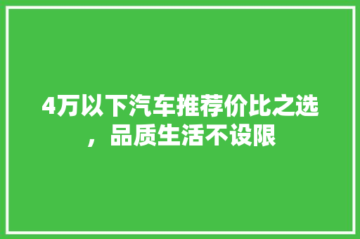 4万以下汽车推荐价比之选，品质生活不设限