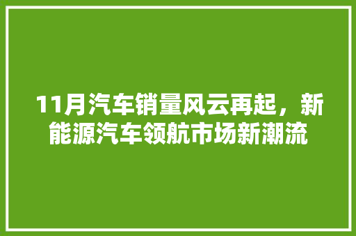 11月汽车销量风云再起，新能源汽车领航市场新潮流  第1张