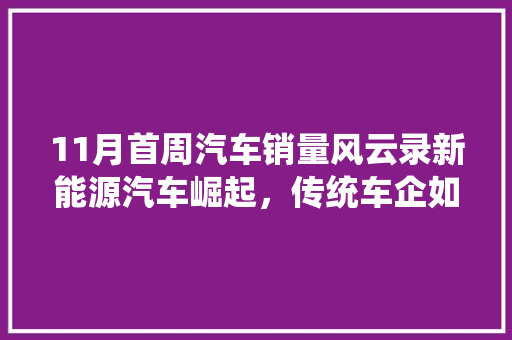 11月首周汽车销量风云录新能源汽车崛起，传统车企如何应对