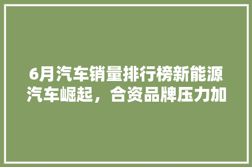 6月汽车销量排行榜新能源汽车崛起，合资品牌压力加大