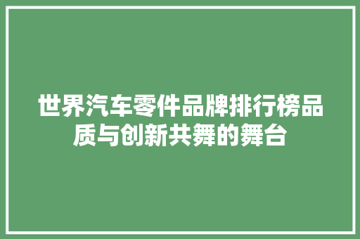 世界汽车零件品牌排行榜品质与创新共舞的舞台