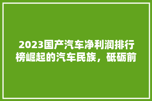 2023国产汽车净利润排行榜崛起的汽车民族，砥砺前行的力量  第1张