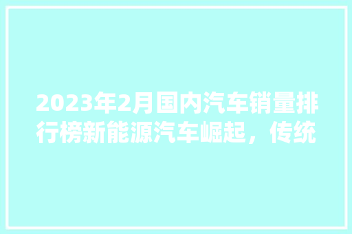 2023年2月国内汽车销量排行榜新能源汽车崛起，传统车企转型加速