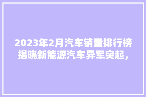 2023年2月汽车销量排行榜揭晓新能源汽车异军突起，市场格局重塑  第1张