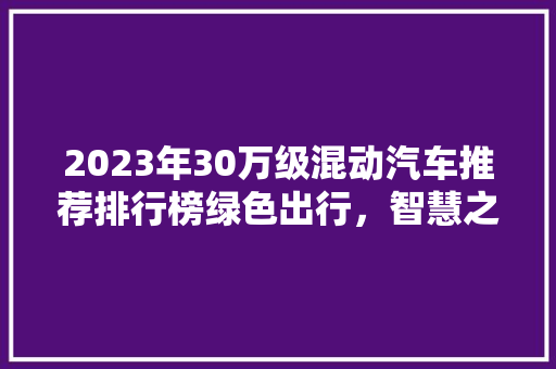 2023年30万级混动汽车推荐排行榜绿色出行，智慧之选  第1张