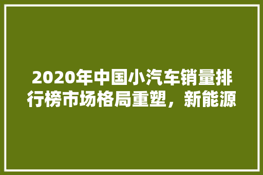 2020年中国小汽车销量排行榜市场格局重塑，新能源汽车崛起