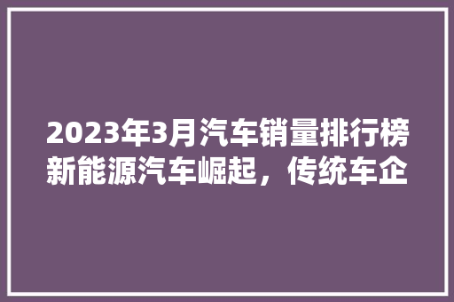 2023年3月汽车销量排行榜新能源汽车崛起，传统车企面临挑战  第1张