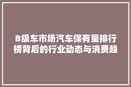 B级车市场汽车保有量排行榜背后的行业动态与消费趋势