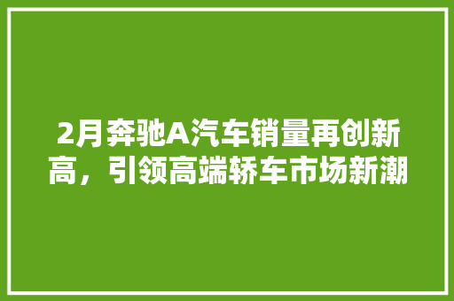 2月奔驰A汽车销量再创新高,引领高端轿车市场新潮流 第1张 2月奔驰A汽车销量再创新高,引领高端轿车市场新潮流 第1张