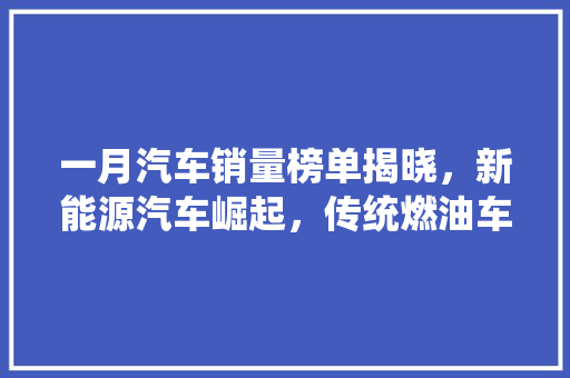 一月汽车销量榜单揭晓，新能源汽车崛起，传统燃油车面临挑战