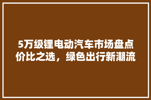 5万级锂电动汽车市场盘点价比之选，绿色出行新潮流