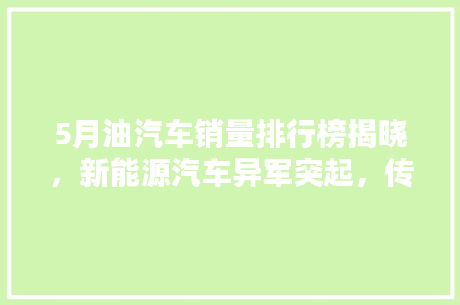 5月油汽车销量排行榜揭晓，新能源汽车异军突起，传统燃油车面临挑战