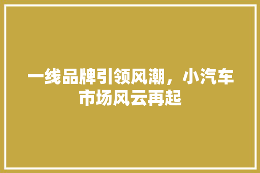 一线品牌引领风潮，小汽车市场风云再起