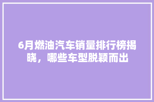 6月燃油汽车销量排行榜揭晓，哪些车型脱颖而出  第1张
