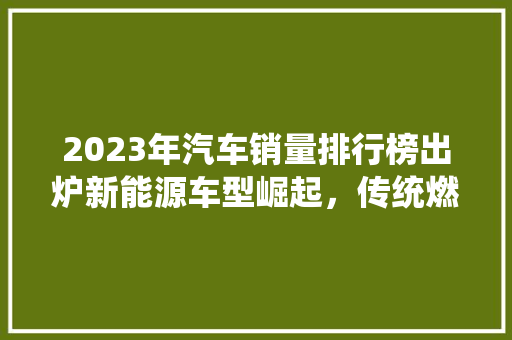 2023年汽车销量排行榜出炉新能源车型崛起，传统燃油车市场面临挑战