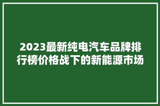 2023最新纯电汽车品牌排行榜价格战下的新能源市场风云变幻