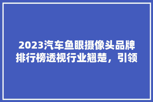 2023汽车鱼眼摄像头品牌排行榜透视行业翘楚，引领智能驾驶新潮流