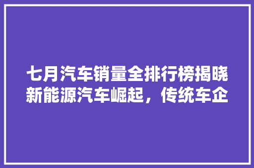 七月汽车销量全排行榜揭晓新能源汽车崛起，传统车企转型加速  第1张