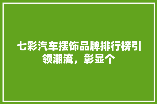 七彩汽车摆饰品牌排行榜引领潮流，彰显个