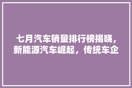 七月汽车销量排行榜揭晓，新能源汽车崛起，传统车企面临挑战  第1张