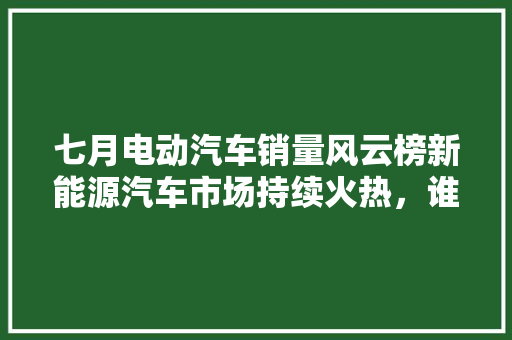 七月电动汽车销量风云榜新能源汽车市场持续火热，谁是本月销量王者