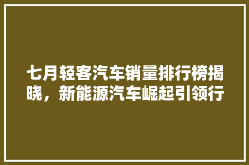 七月轻客汽车销量排行榜揭晓，新能源汽车崛起引领行业新风向