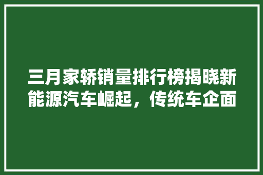 三月家轿销量排行榜揭晓新能源汽车崛起，传统车企面临挑战