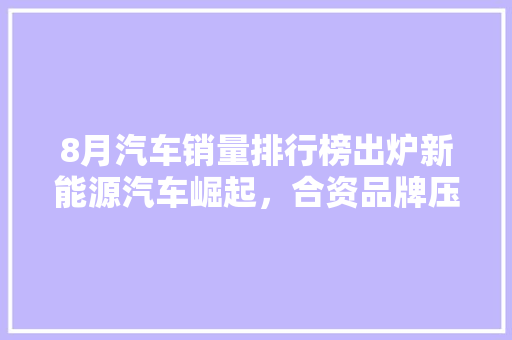 8月汽车销量排行榜出炉新能源汽车崛起，合资品牌压力山大