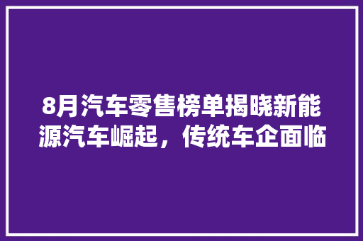 8月汽车零售榜单揭晓新能源汽车崛起，传统车企面临挑战