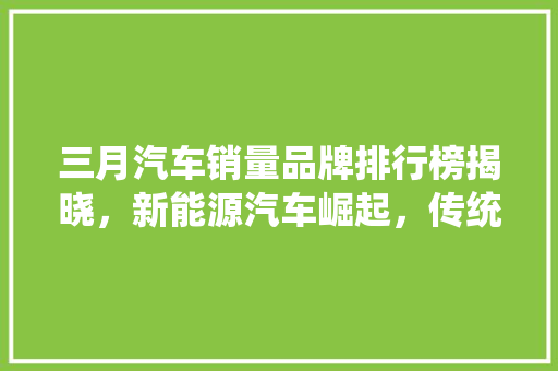 三月汽车销量品牌排行榜揭晓，新能源汽车崛起，传统车企面临挑战  第1张