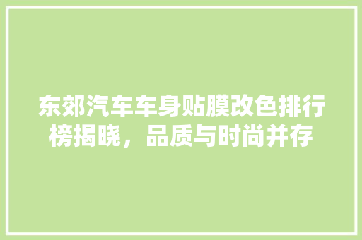东郊汽车车身贴膜改色排行榜揭晓，品质与时尚并存