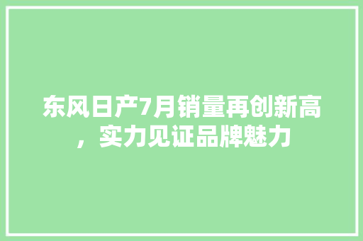 东风日产7月销量再创新高，实力见证品牌魅力