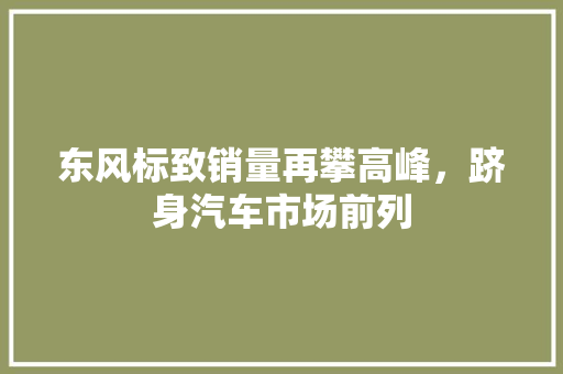 东风标致销量再攀高峰，跻身汽车市场前列